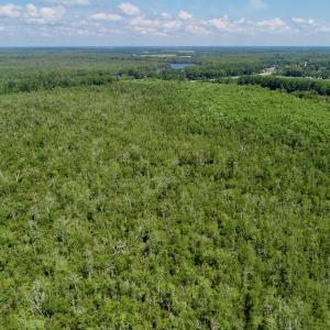 Photo #11 of SOLD property in Off Nc Hwy 158 Causeway, Camden, NC 160.0 acres