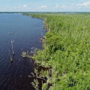 Photo #13 of SOLD property in Off Nc Hwy 158 Causeway, Camden, NC 160.0 acres