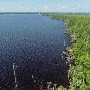 Photo #15 of SOLD property in Off Nc Hwy 158 Causeway, Camden, NC 160.0 acres