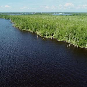 Photo #16 of SOLD property in Off Nc Hwy 158 Causeway, Camden, NC 160.0 acres