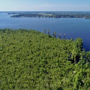 Photo #20 of SOLD property in Off Nc Hwy 158 Causeway, Camden, NC 160.0 acres
