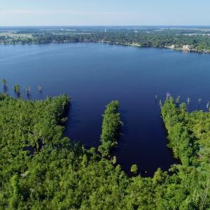 Photo #22 of SOLD property in Off Nc Hwy 158 Causeway, Camden, NC 160.0 acres