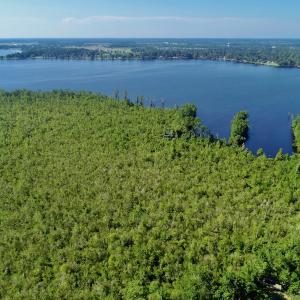Photo #23 of SOLD property in Off Nc Hwy 158 Causeway, Camden, NC 160.0 acres