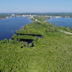 Photo #25 of SOLD property in Off Nc Hwy 158 Causeway, Camden, NC 160.0 acres