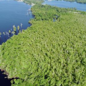 Photo #26 of SOLD property in Off Nc Hwy 158 Causeway, Camden, NC 160.0 acres