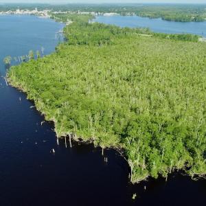 Photo #27 of SOLD property in Off Nc Hwy 158 Causeway, Camden, NC 160.0 acres