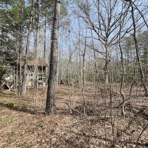 Photo #14 of SOLD property in Off Mini Road, Accomac, VA 15.0 acres