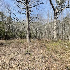 Photo #15 of SOLD property in Off Mini Road, Accomac, VA 15.0 acres