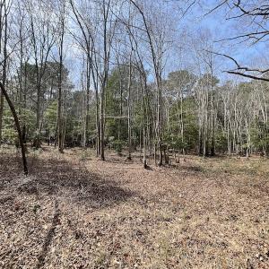 Photo #16 of SOLD property in Off Mini Road, Accomac, VA 15.0 acres