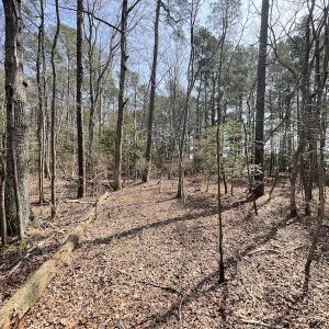 Photo #21 of SOLD property in Off Mini Road, Accomac, VA 15.0 acres