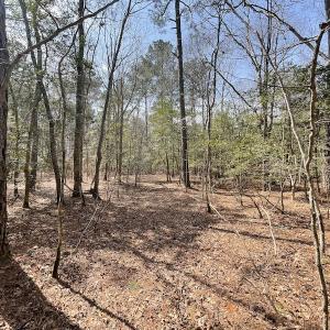 Photo #22 of SOLD property in Off Mini Road, Accomac, VA 15.0 acres