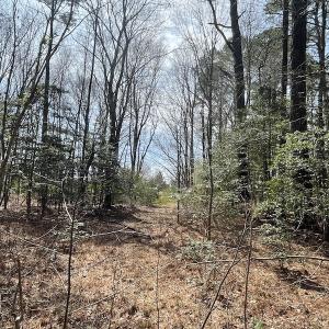 Photo #26 of SOLD property in Off Mini Road, Accomac, VA 15.0 acres
