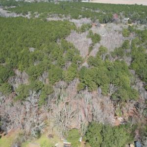 Photo #4 of SOLD property in Off Mini Road, Accomac, VA 15.0 acres