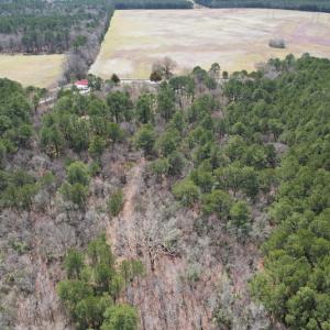 Photo #2 of SOLD property in Off Mini Road, Accomac, VA 15.0 acres