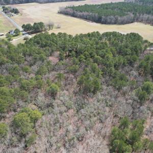 Photo #5 of SOLD property in Off Mini Road, Accomac, VA 15.0 acres