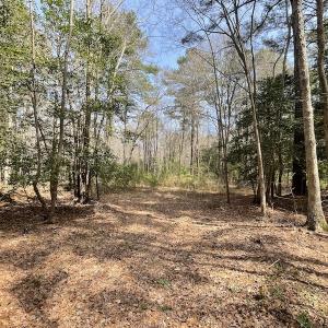 Photo #8 of SOLD property in Off Mini Road, Accomac, VA 15.0 acres