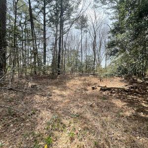 Photo #10 of SOLD property in Off Mini Road, Accomac, VA 15.0 acres
