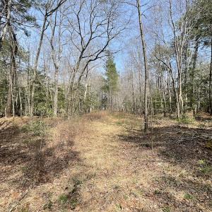 Photo #12 of SOLD property in Off Mini Road, Accomac, VA 15.0 acres