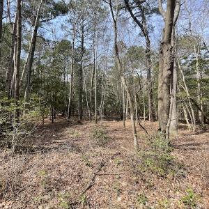 Photo #13 of SOLD property in Off Mini Road, Accomac, VA 15.0 acres