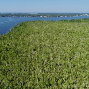 Photo #2 of SOLD property in Off Nc Hwy 158 Causeway, Camden, NC 160.0 acres
