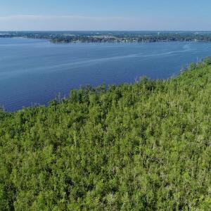 Photo #3 of SOLD property in Off Nc Hwy 158 Causeway, Camden, NC 160.0 acres