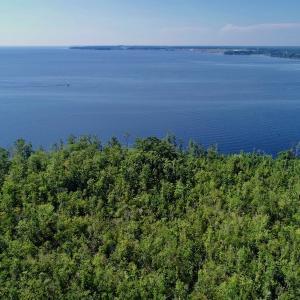 Photo #4 of SOLD property in Off Nc Hwy 158 Causeway, Camden, NC 160.0 acres