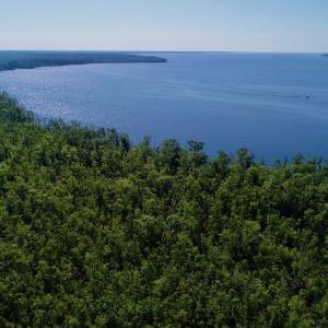 Photo #5 of SOLD property in Off Nc Hwy 158 Causeway, Camden, NC 160.0 acres