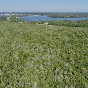 Photo #7 of SOLD property in Off Nc Hwy 158 Causeway, Camden, NC 160.0 acres