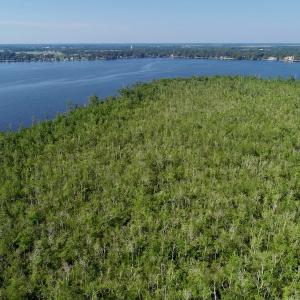 Photo #9 of SOLD property in Off Nc Hwy 158 Causeway, Camden, NC 160.0 acres
