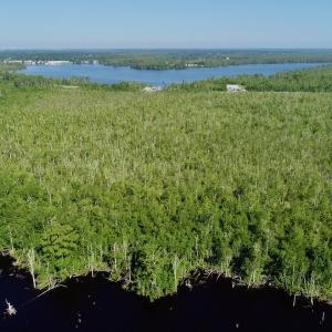 Photo #10 of SOLD property in Off Nc Hwy 158 Causeway, Camden, NC 160.0 acres
