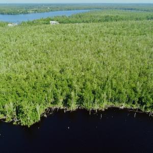 Photo #11 of SOLD property in Off Nc Hwy 158 Causeway, Camden, NC 160.0 acres
