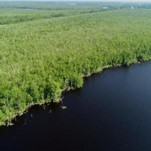 Photo #13 of SOLD property in Off Nc Hwy 158 Causeway, Camden, NC 160.0 acres