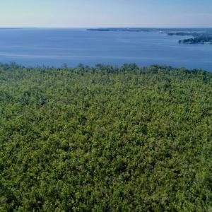 Photo #16 of SOLD property in Off Nc Hwy 158 Causeway, Camden, NC 160.0 acres