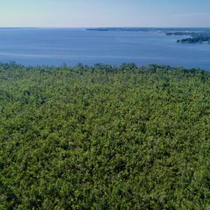 Photo #16 of SOLD property in Off Nc Hwy 158 Causeway, Camden, NC 160.0 acres