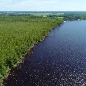 Photo #17 of SOLD property in Off Nc Hwy 158 Causeway, Camden, NC 160.0 acres