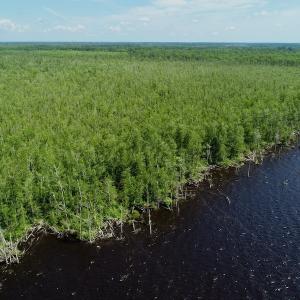 Photo #18 of SOLD property in Off Nc Hwy 158 Causeway, Camden, NC 160.0 acres