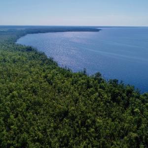 Photo #20 of SOLD property in Off Nc Hwy 158 Causeway, Camden, NC 160.0 acres