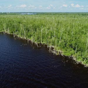 Photo #21 of SOLD property in Off Nc Hwy 158 Causeway, Camden, NC 160.0 acres