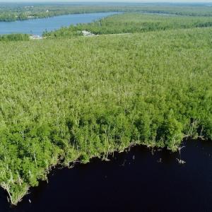 Photo #23 of SOLD property in Off Nc Hwy 158 Causeway, Camden, NC 160.0 acres