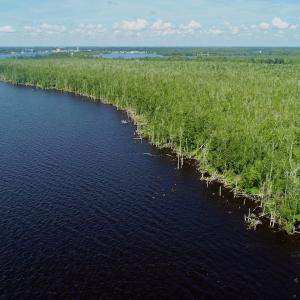 Photo #25 of SOLD property in Off Nc Hwy 158 Causeway, Camden, NC 160.0 acres