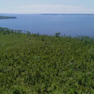 Photo #26 of SOLD property in Off Nc Hwy 158 Causeway, Camden, NC 160.0 acres