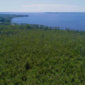 Photo #31 of SOLD property in Off Nc Hwy 158 Causeway, Camden, NC 160.0 acres