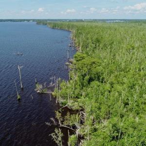 Photo #32 of SOLD property in Off Nc Hwy 158 Causeway, Camden, NC 160.0 acres