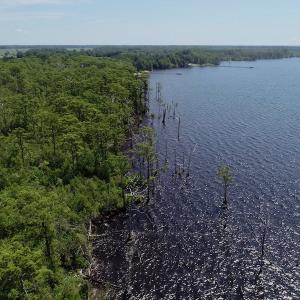 Photo #33 of SOLD property in Off Nc Hwy 158 Causeway, Camden, NC 160.0 acres