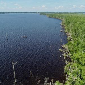 Photo #34 of SOLD property in Off Nc Hwy 158 Causeway, Camden, NC 160.0 acres
