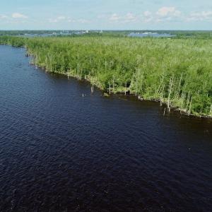 Photo #35 of SOLD property in Off Nc Hwy 158 Causeway, Camden, NC 160.0 acres
