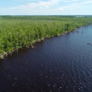 Photo #36 of SOLD property in Off Nc Hwy 158 Causeway, Camden, NC 160.0 acres