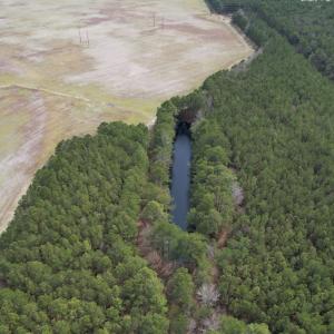 Photo #10 of Off Mini Road, Onley, VA 119.4 acres
