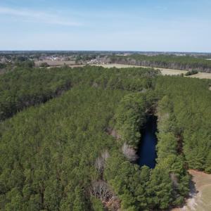 Photo #11 of Off Mini Road, Onley, VA 119.4 acres