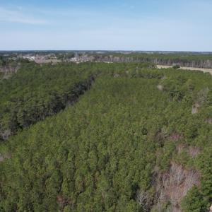 Photo #12 of Off Mini Road, Onley, VA 119.4 acres